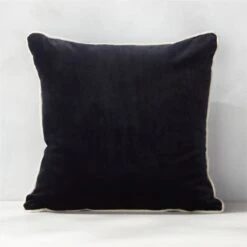 20'' Bronte Recycled Velvet Black And White Outdoor Throw Pillow
