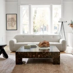 Scatola Brown Faux Horn Coffee Table -Cb2 CB2SP22 18A v2 RET