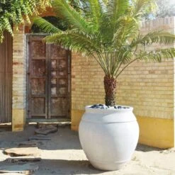 Belly White Stone Outdoor Planter XXL -Cb2 CB2SU22 23A v1 RET