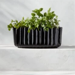 Demos Black Terracotta Outdoor Planter Small 8 Demos Black Terracotta Outdoor Planter Small -Cb2 DemosBlkHerbPlanterOvalAVSHS23
