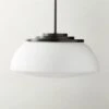 Dufrene Matte Black Pendant Light
