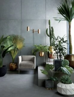 Potted Faux Cardón Cactus 5' -Cb2 MaraisShadowGreyVelvetArmchairJN19