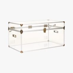 Mod Large Clear Acrylic Locker Trunk -Cb2 ModLockerLg3QF17