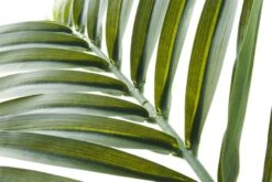 Faux Phoenix Palm Leaf 44" -Cb2 PhoenixPalm44inAVS17