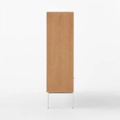 Trier Cerused Oak Bookcase -Cb2 TrierBookcaseSDSSS23