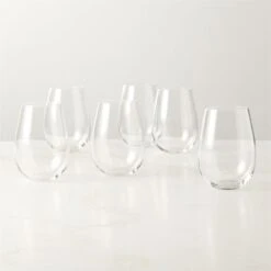 True Stemless Wine Glass Set Of 6