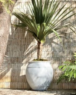 Belly White Stone Outdoor Planter XXL -Cb2 WhiteBellyXXLPlanterJU20