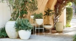 Belly White Stone Outdoor Planter XXL -Cb2 WhiteBellyXXLPlanterOFB19